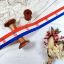 Picture of Croatia Flag Printed Ribbon