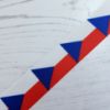 Picture of Czechia Flag Printed Ribbon