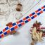 Picture of Dominican Republic Flag Printed Ribbon