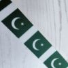 Picture of Pakistan Flag Printed Ribbon