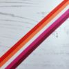 Picture of Lesbian Flag Ribbon 25mm Wide