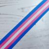 Picture of Transgender Ribbon 25mm Wide
