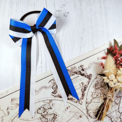 Picture of Estonia Flag Handmade Bow