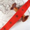 Picture of Morocco Flag Printed Ribbon