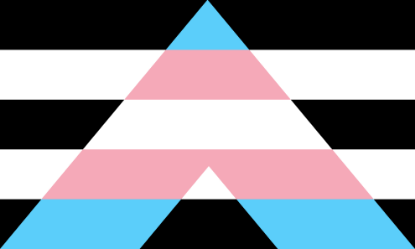 Picture of Trans Ally Printed Elastic