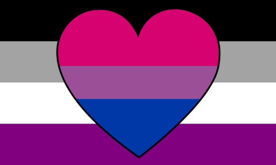 Picture of Asexual Biromantic Printed Elastic