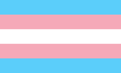 Picture of Transgender Flag 16mm Printed Elastic