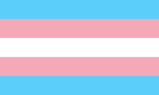 Picture of Transgender Flag 16mm Printed Elastic