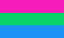 Picture of Polysexual Printed Elastic