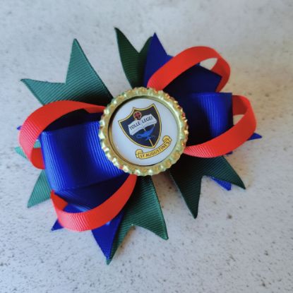 Picture of Custom School/Sports Bow