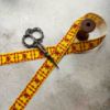 Picture of Scotland Lion Flag Printed Ribbon
